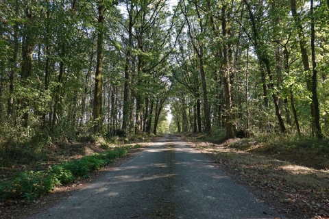 Cabinet Loire& Charme immobilier Blois