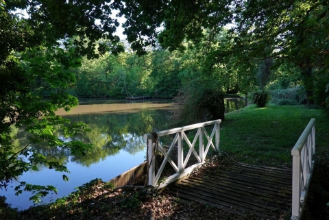 Cabinet Loire& Charme immobilier Blois