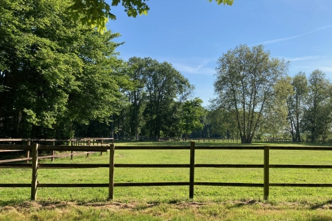 Cabinet Loire& Charme immobilier Blois