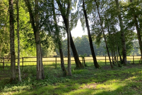 Cabinet Loire& Charme immobilier Blois