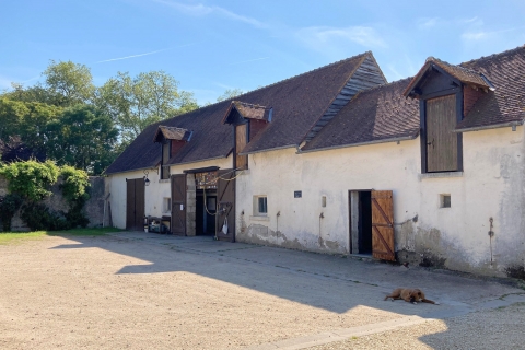 Cabinet Loire& Charme immobilier Blois