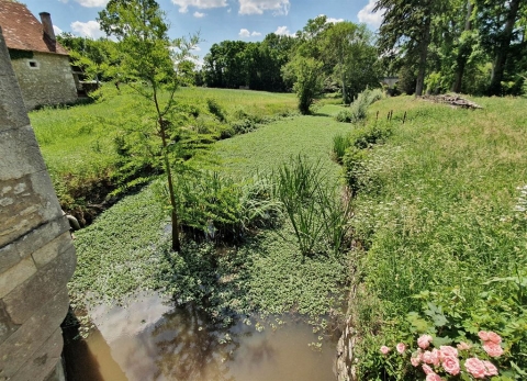 Cabinet Loire& Charme immobilier Blois